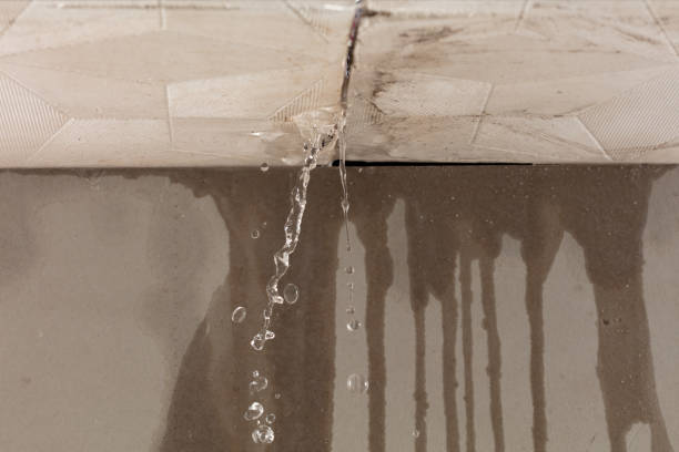 Professional Structural Drying technician working in Ladonia, TX